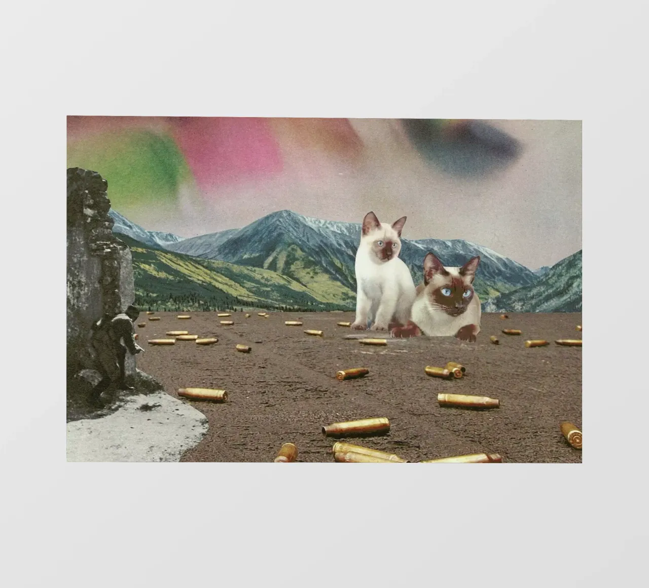 Big Cats of War pellicola backlit da Jesse Treece