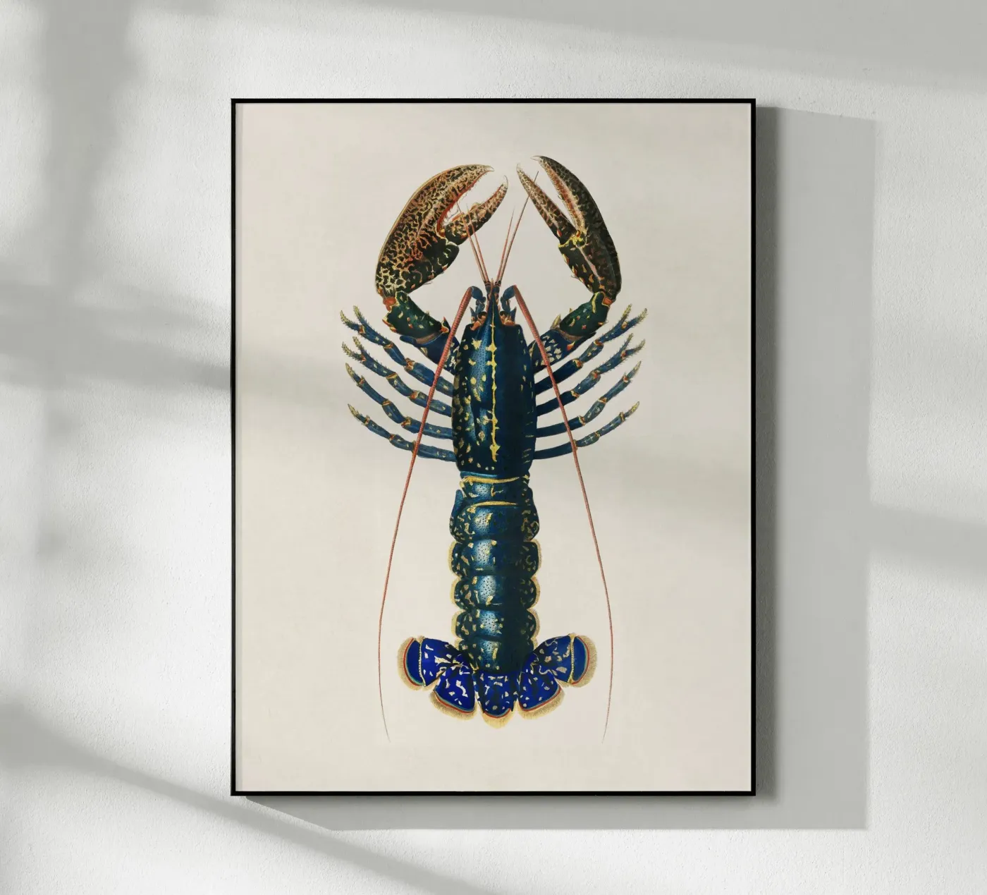Kreeft acryl van Apolo Prints