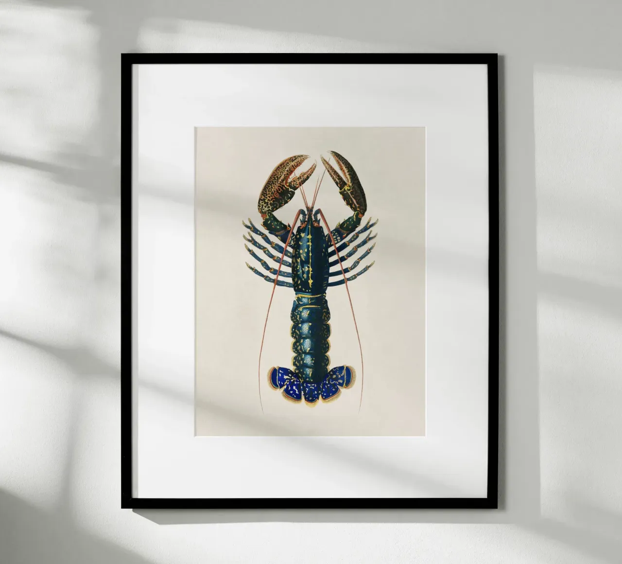 Lobster poster con telaio in alluminio da apoloprints