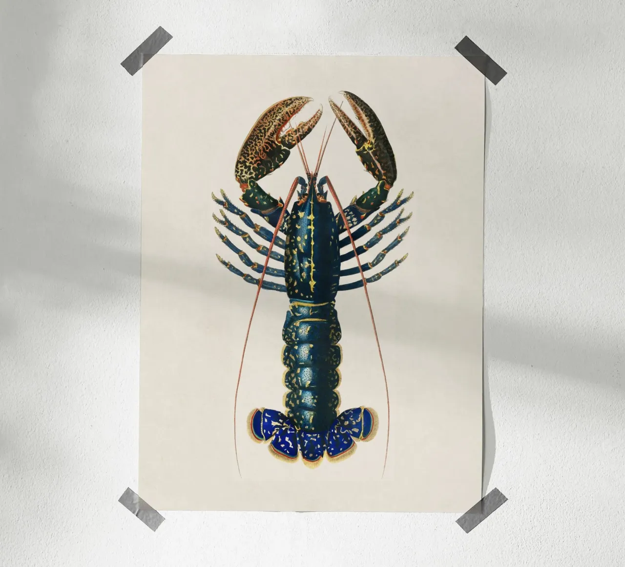 Lobster poster da apoloprints