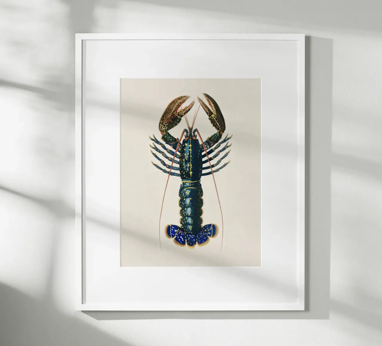 Lobster poster con telaio in alluminio da apoloprints