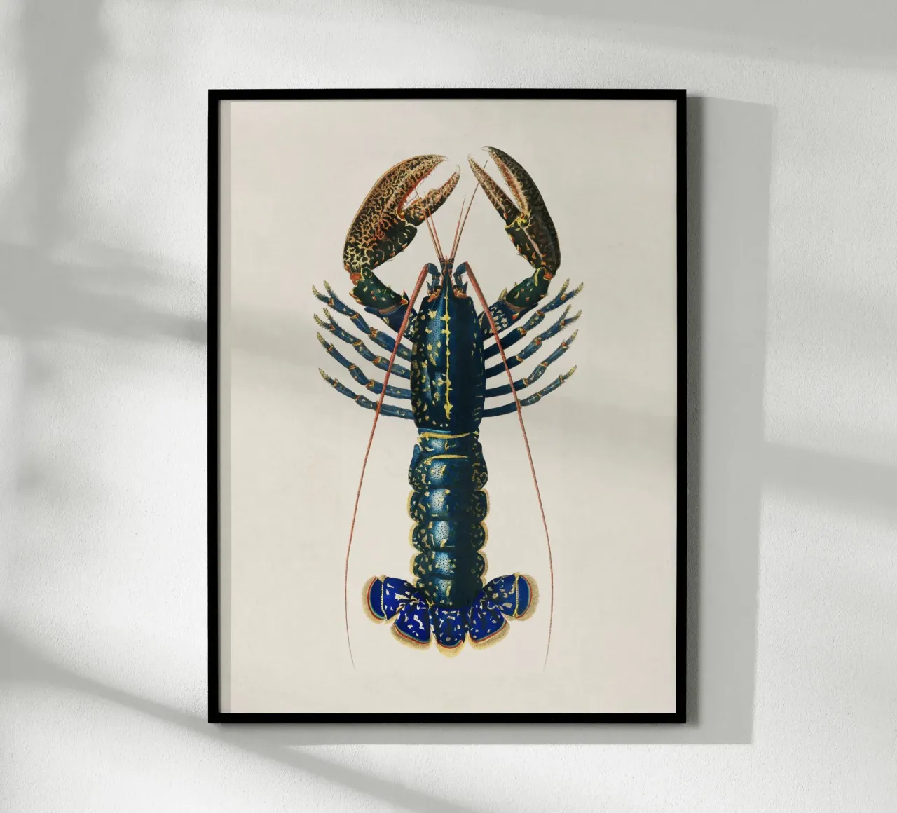 Lobster poster con telaio in alluminio da apoloprints