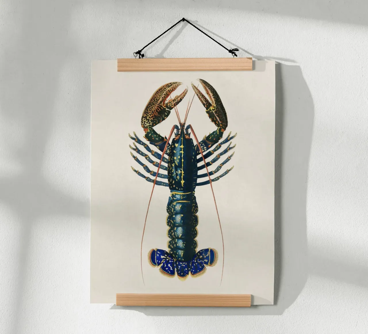 Lobster poster da apoloprints