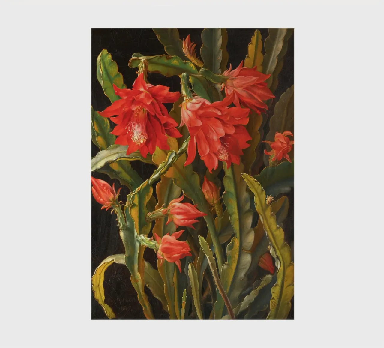 Cactus Flower notebook by apoloprints