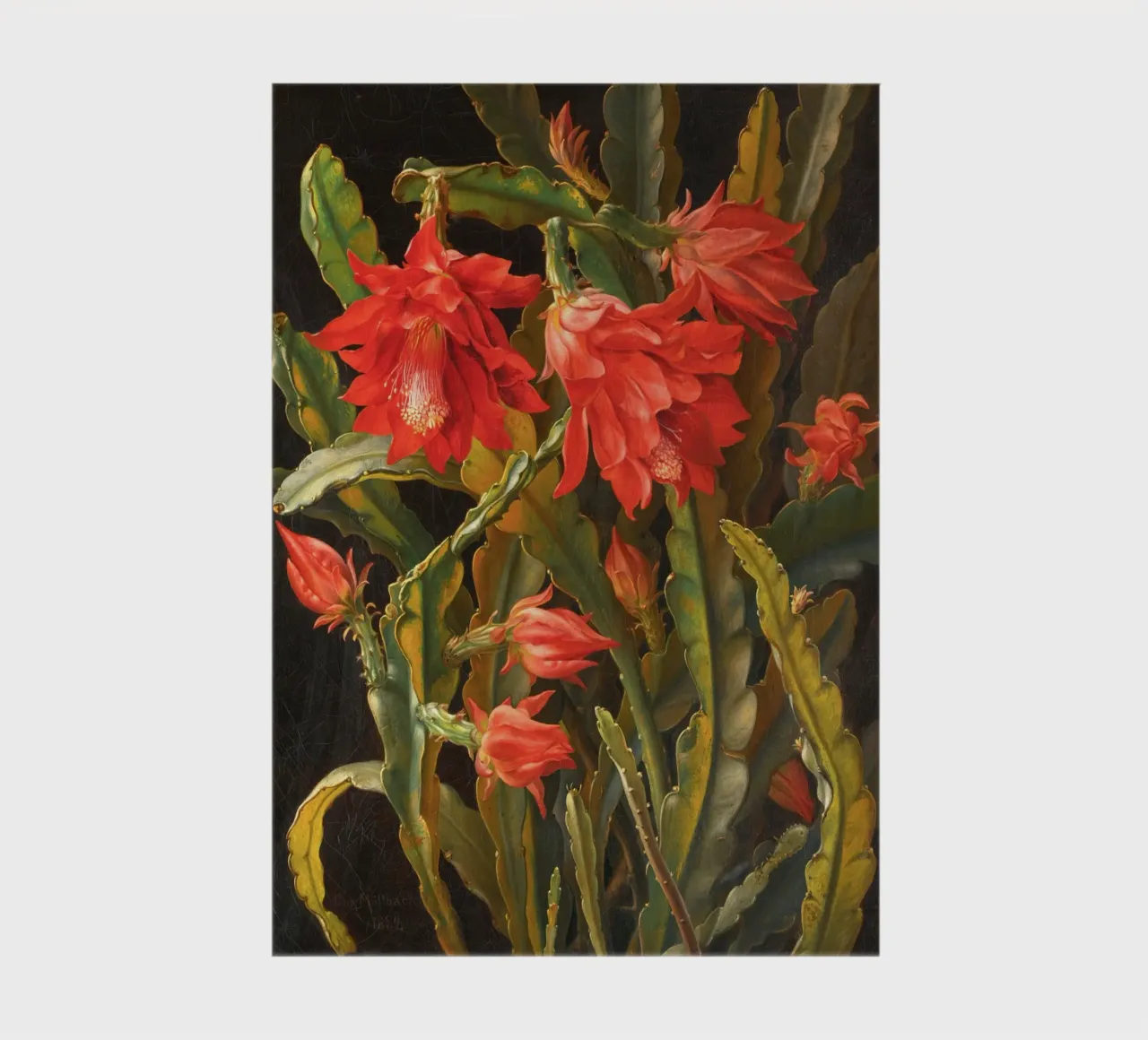 Cactus Flower notebook by apoloprints