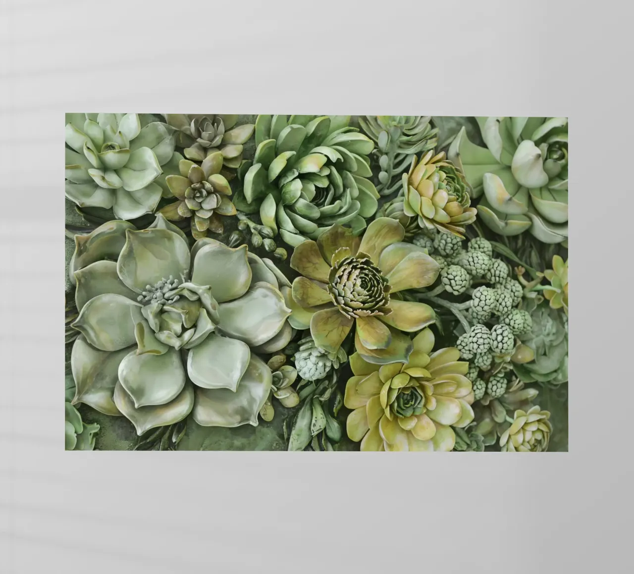 Giardino verticale di succulente botaniche verdi pellicola backlit da Andrea Haase Floral Passion