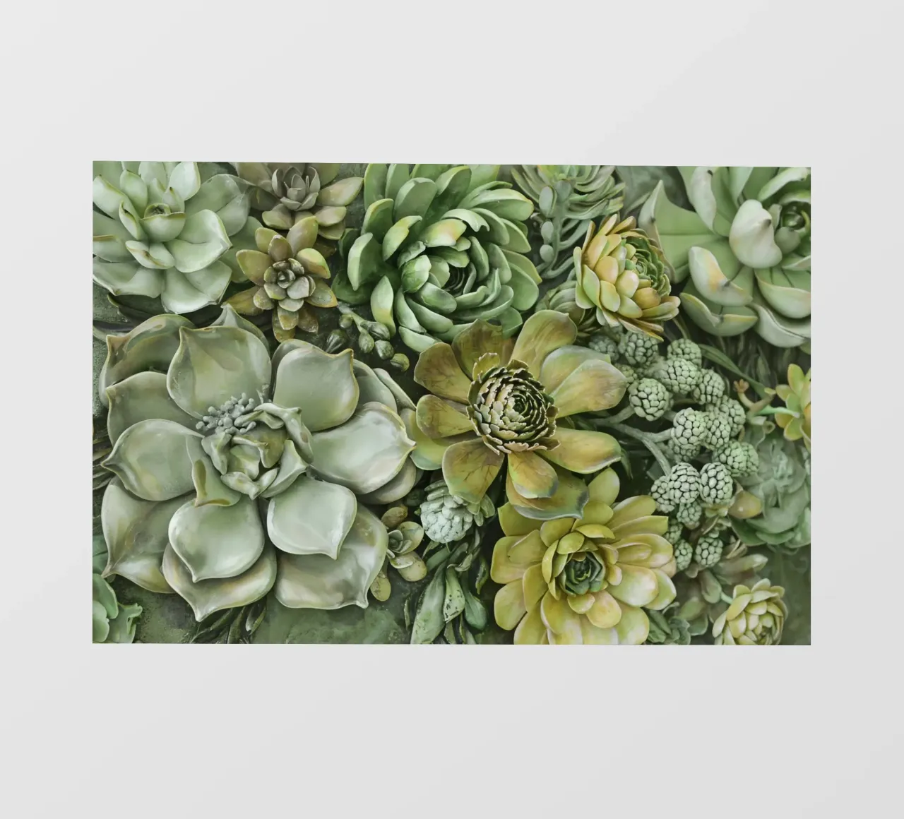 Giardino verticale di succulente botaniche verdi pellicola backlit da Andrea Haase Floral Passion