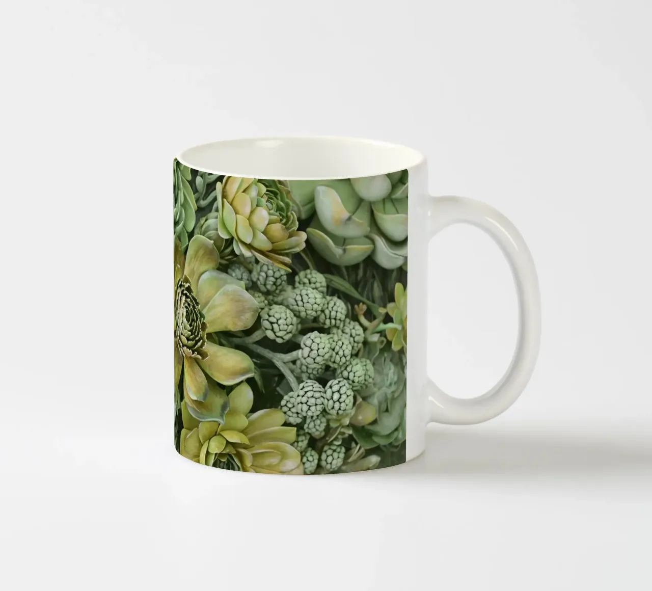Giardino verticale di succulente botaniche verdi tazza in ceramica da Andrea Haase Floral Passion