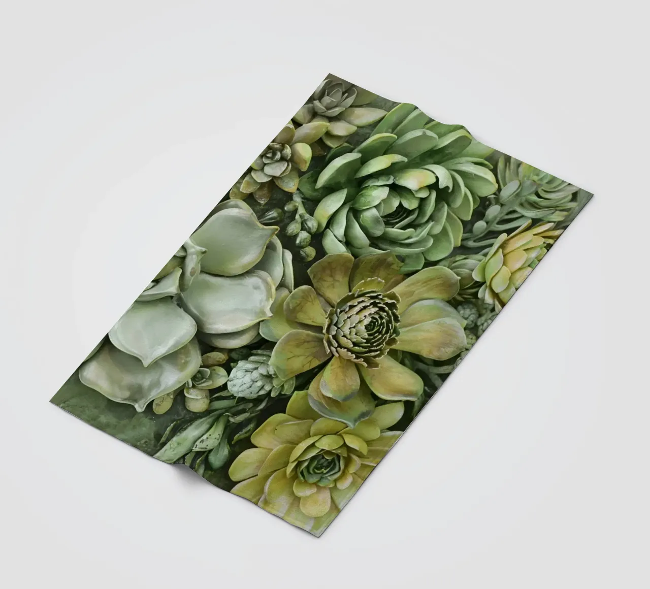 Giardino verticale di succulente botaniche verdi coperta in pile da Andrea Haase Floral Passion