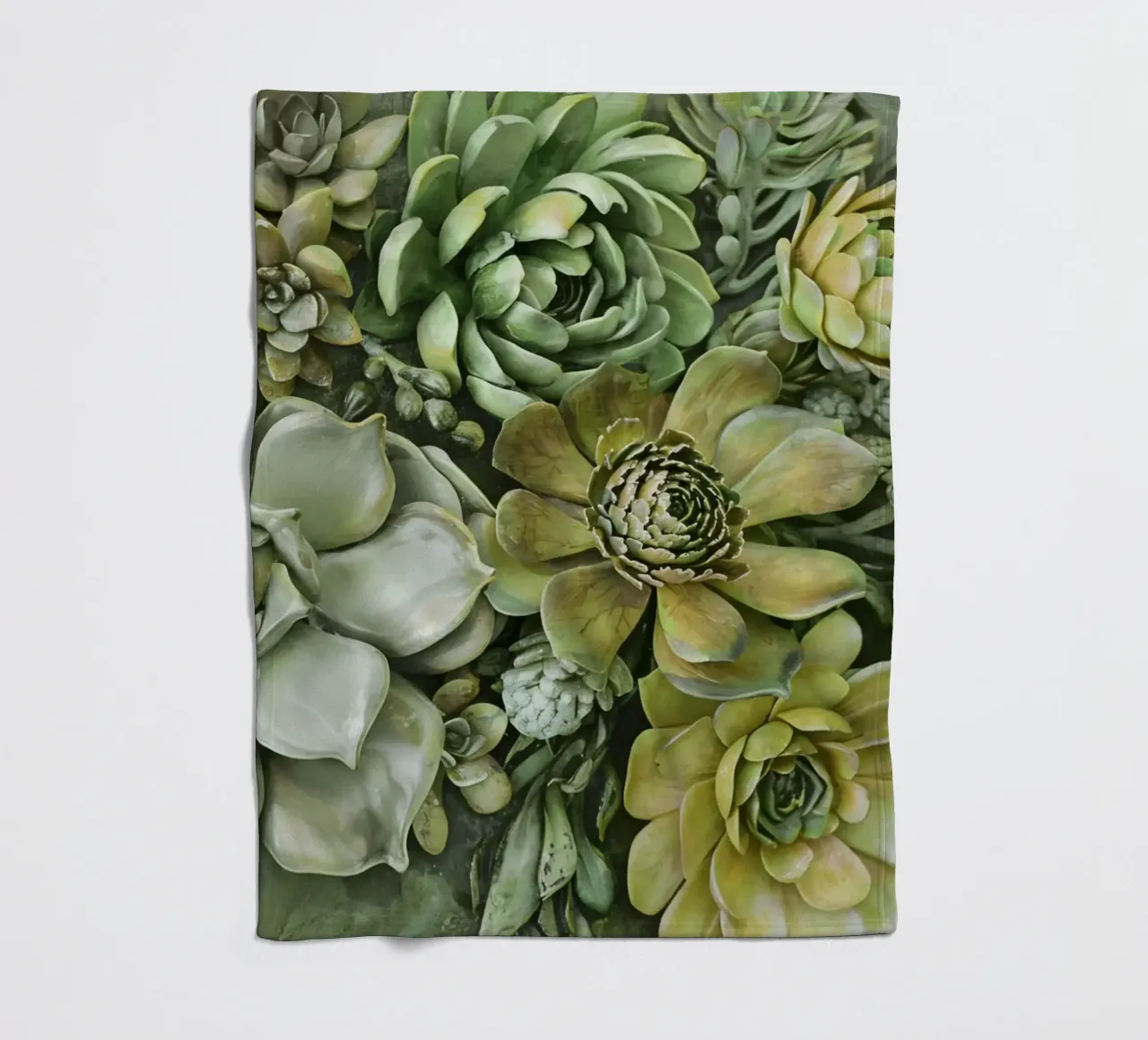 Giardino verticale di succulente botaniche verdi coperta in pile da Andrea Haase Floral Passion
