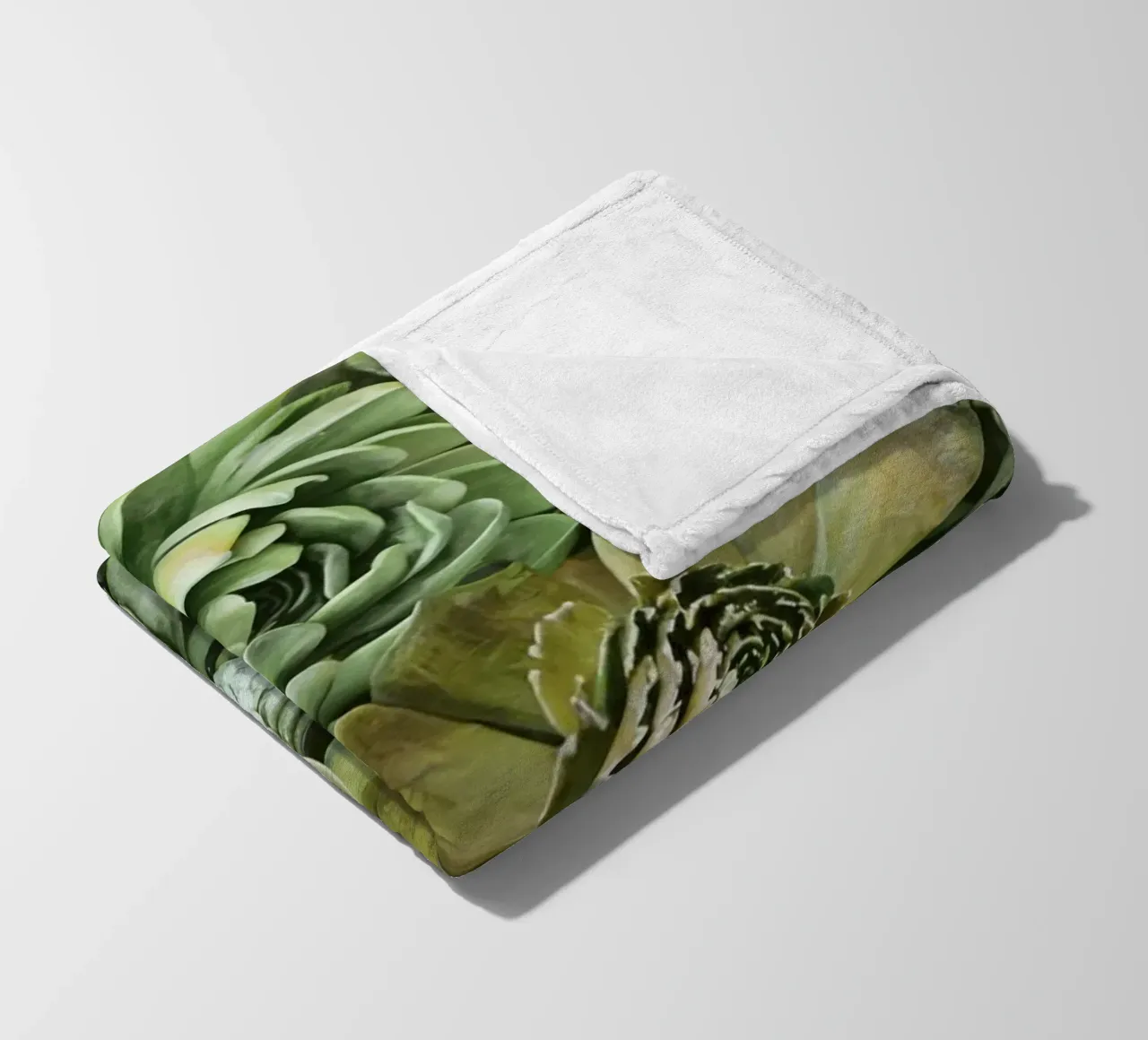 Giardino verticale di succulente botaniche verdi coperta in pile da Andrea Haase Floral Passion