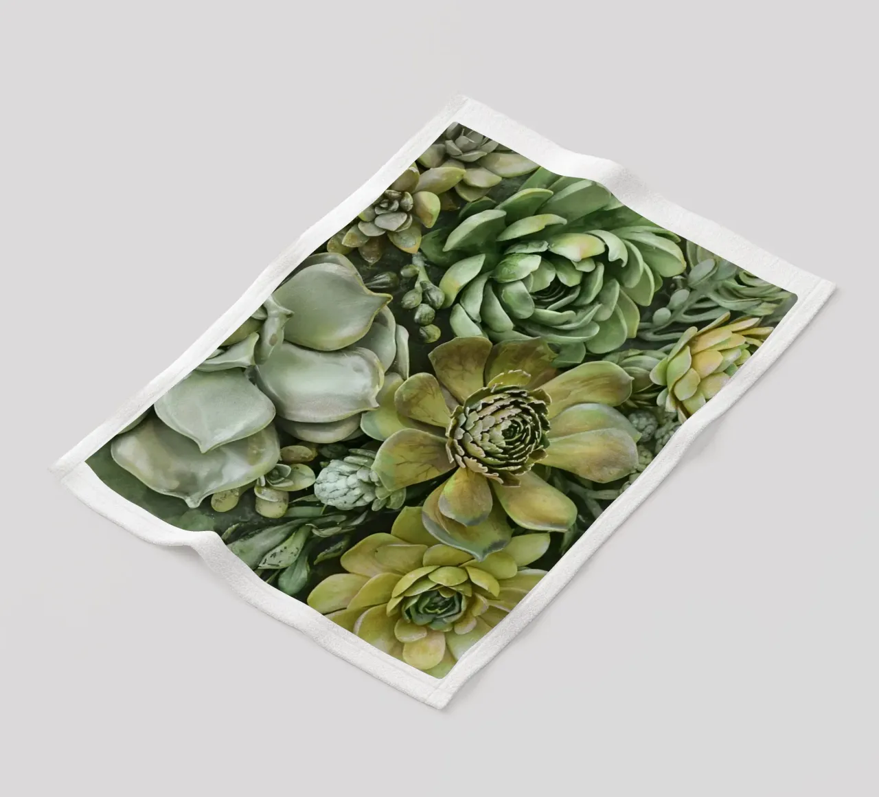 Giardino verticale di succulente botaniche verdi coperta in pile da Andrea Haase Floral Passion