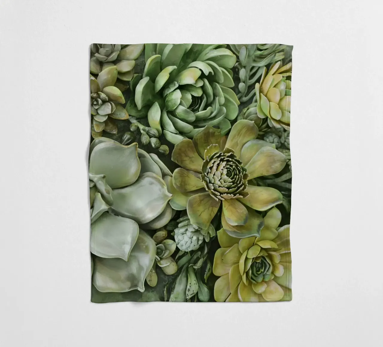 Giardino verticale di succulente botaniche verdi coperta in pile da Andrea Haase Floral Passion