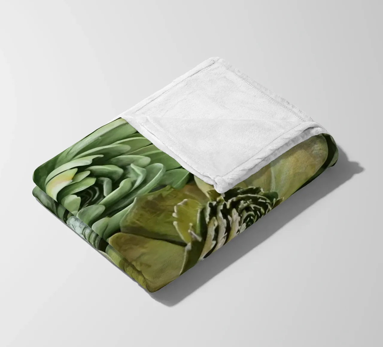 Giardino verticale di succulente botaniche verdi coperta in pile da Andrea Haase Floral Passion