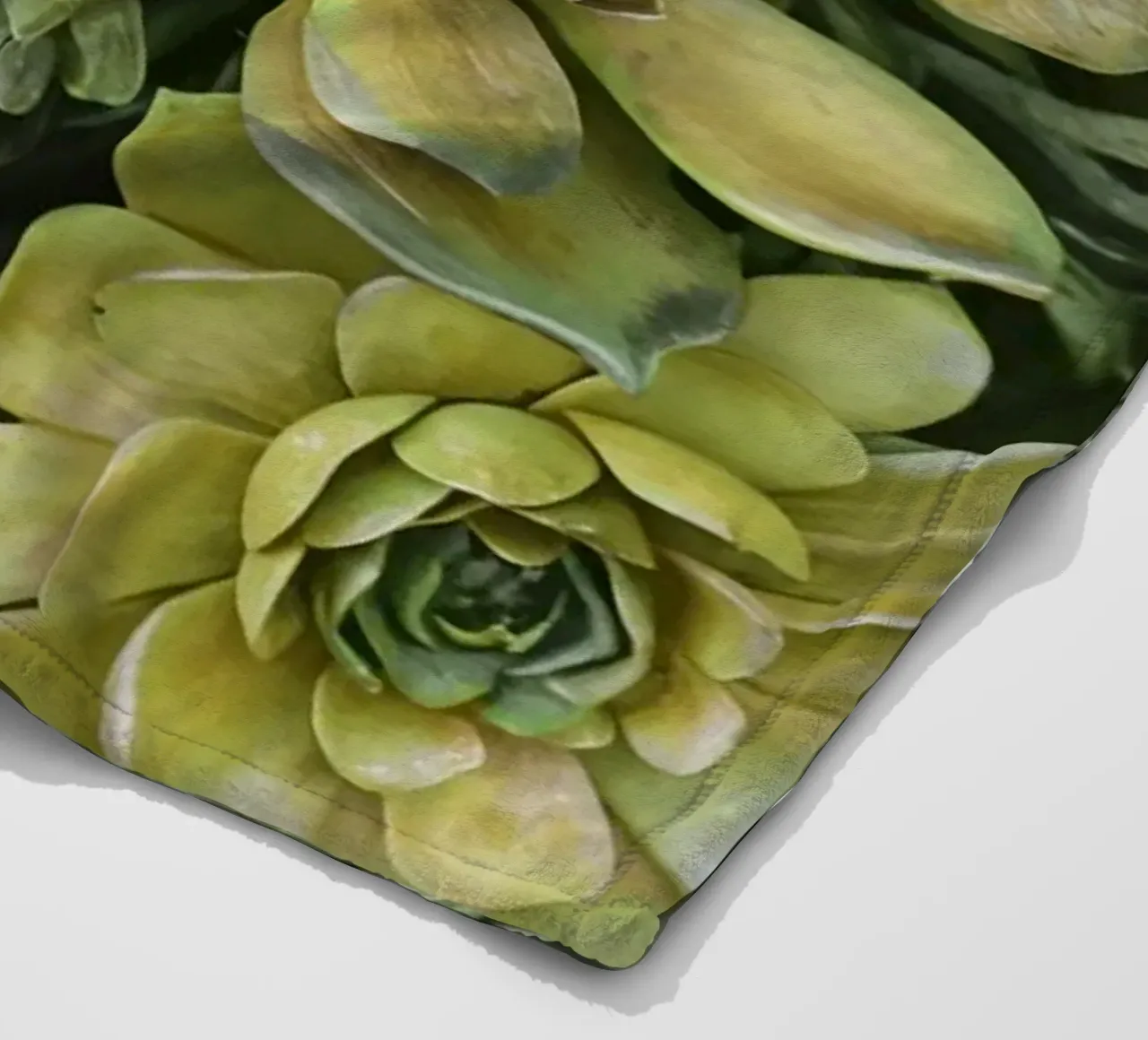 Giardino verticale di succulente botaniche verdi coperta in pile da Andrea Haase Floral Passion
