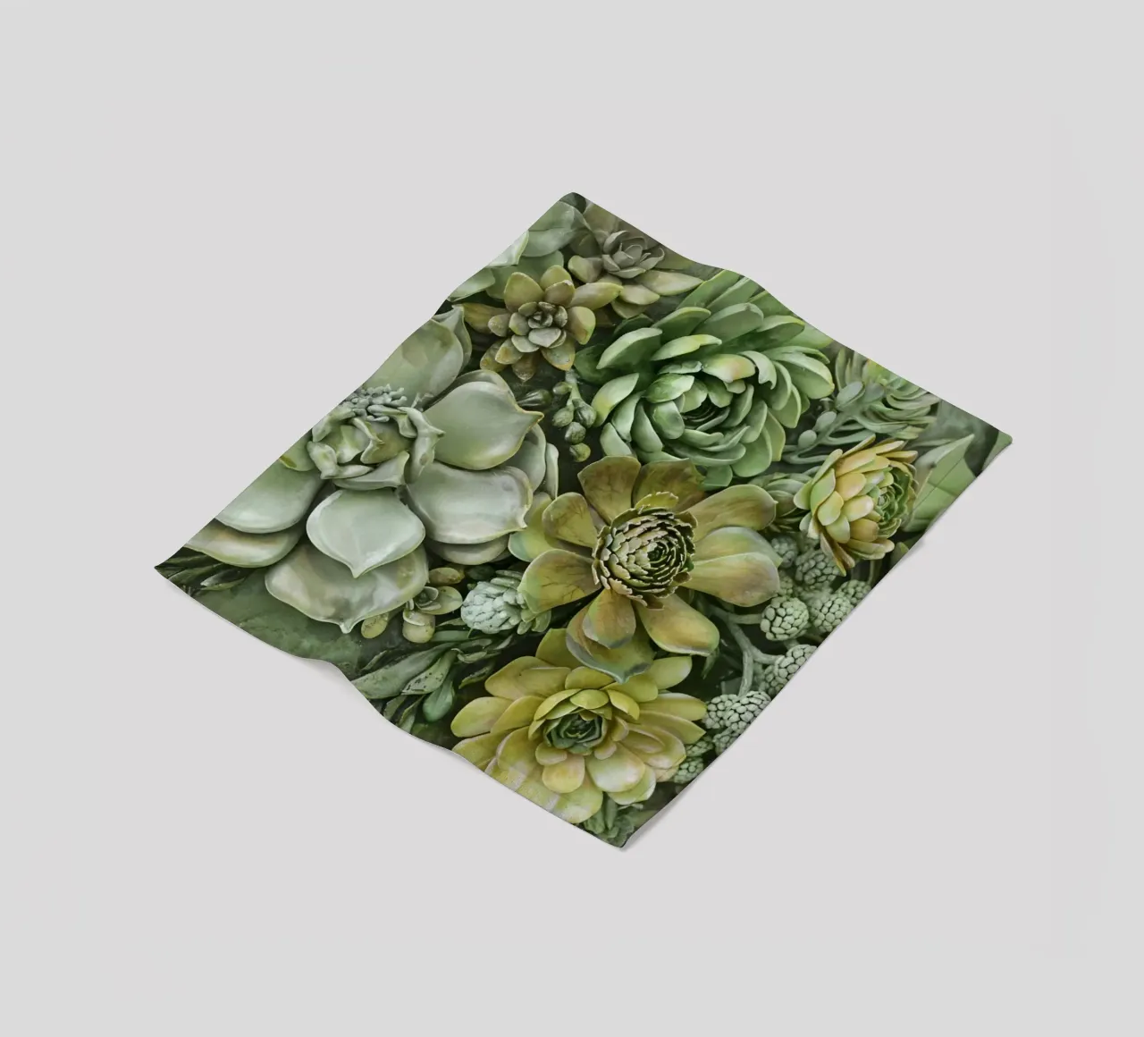 Giardino verticale di succulente botaniche verdi coperta in pile da Andrea Haase Floral Passion