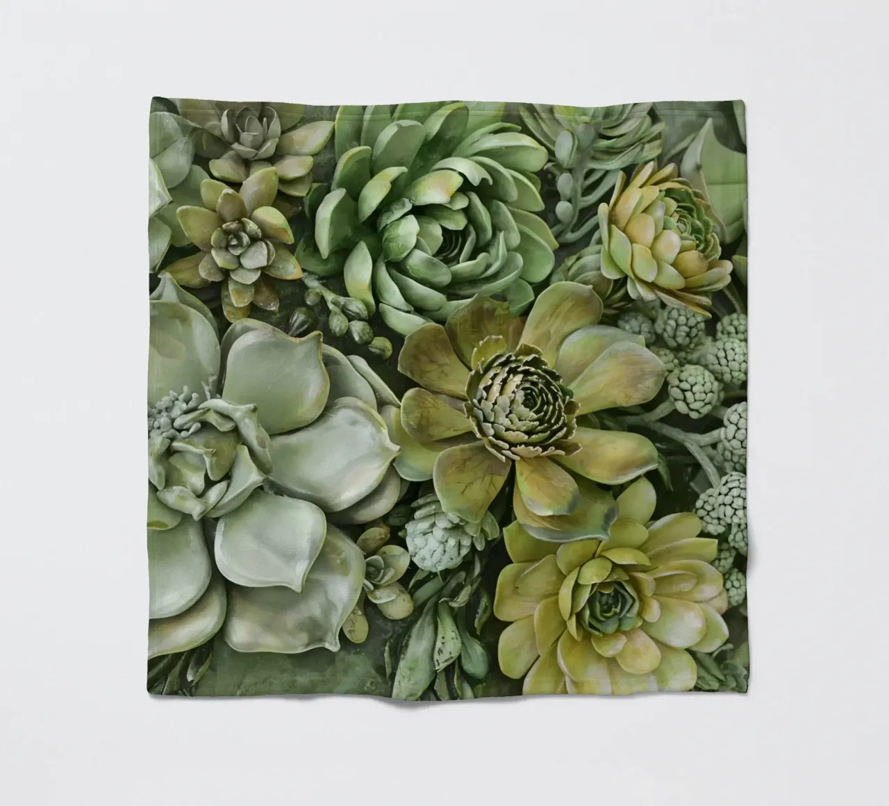 Giardino verticale di succulente botaniche verdi coperta in pile da Andrea Haase Floral Passion