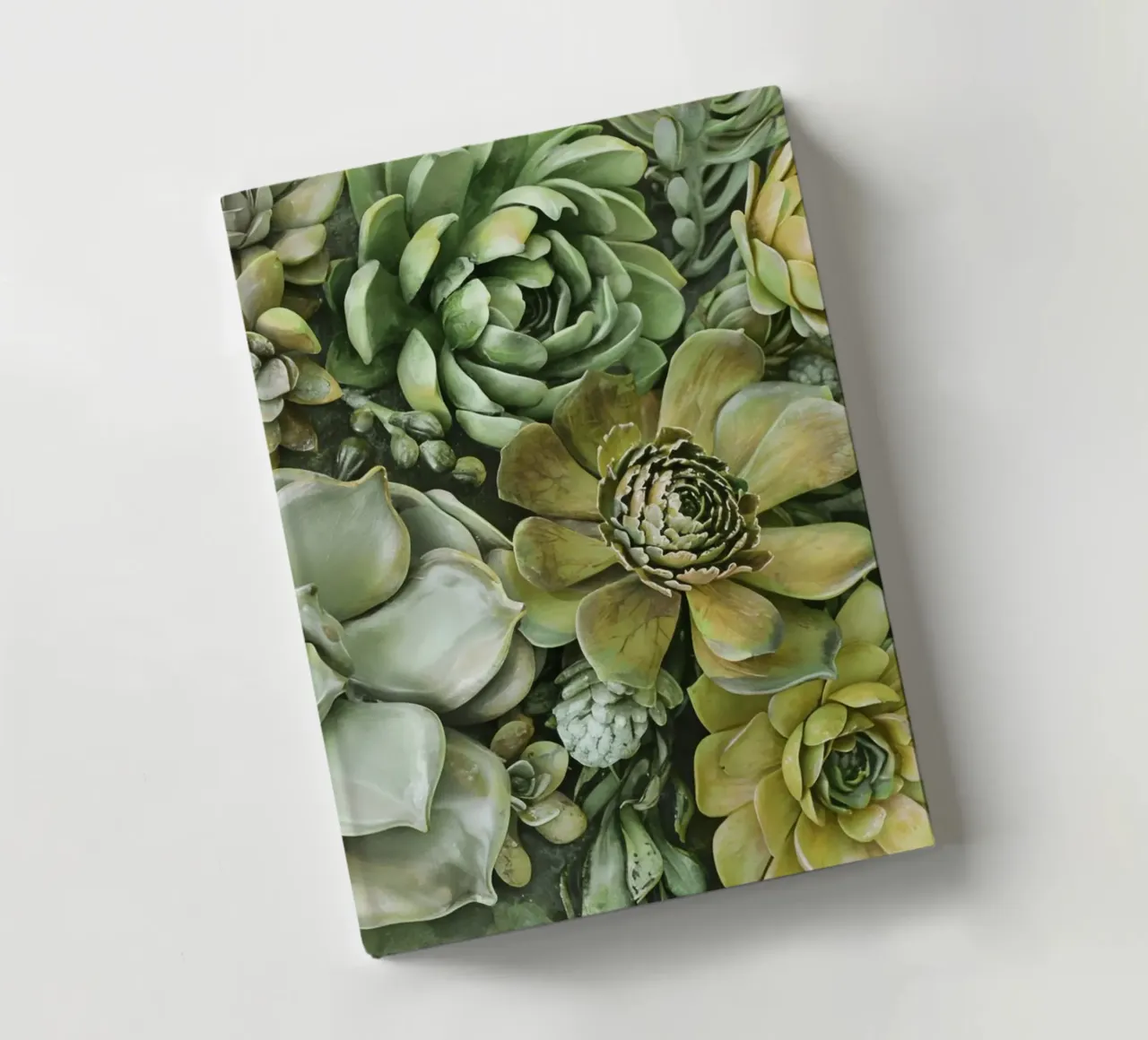 Giardino verticale di succulente botaniche verdi diario da Andrea Haase Floral Passion