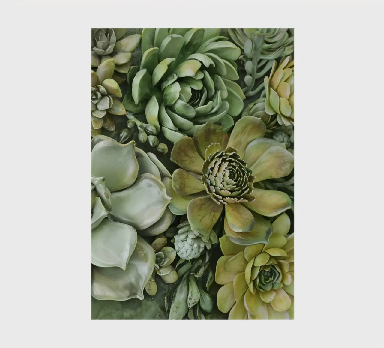 Giardino verticale di succulente botaniche verdi diario da Andrea Haase Floral Passion