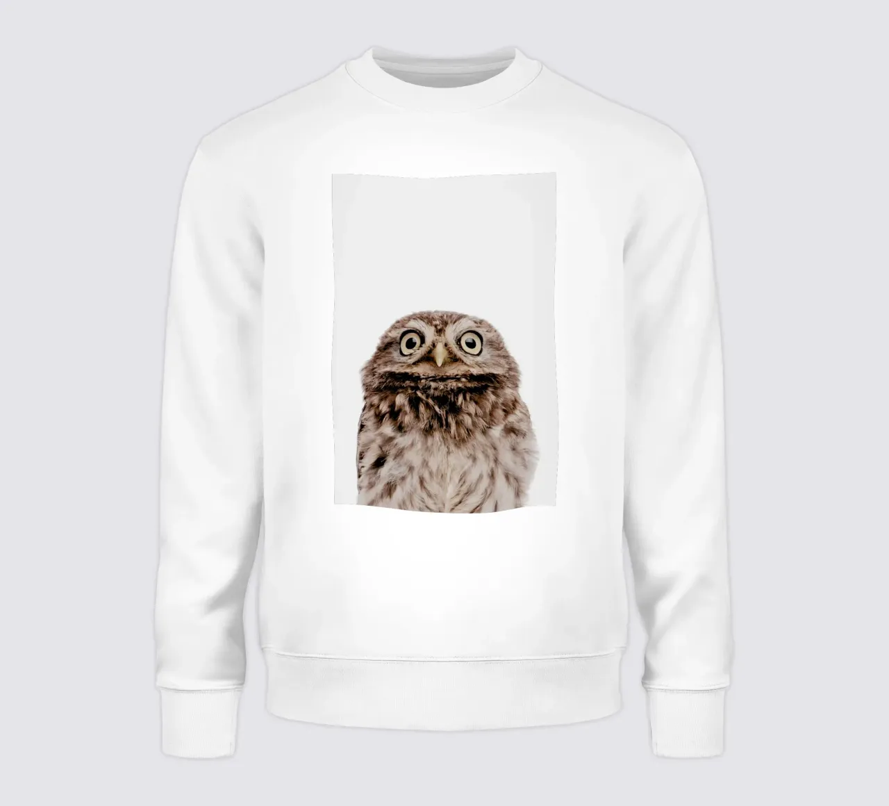 Owl felpa da Paws & Claws