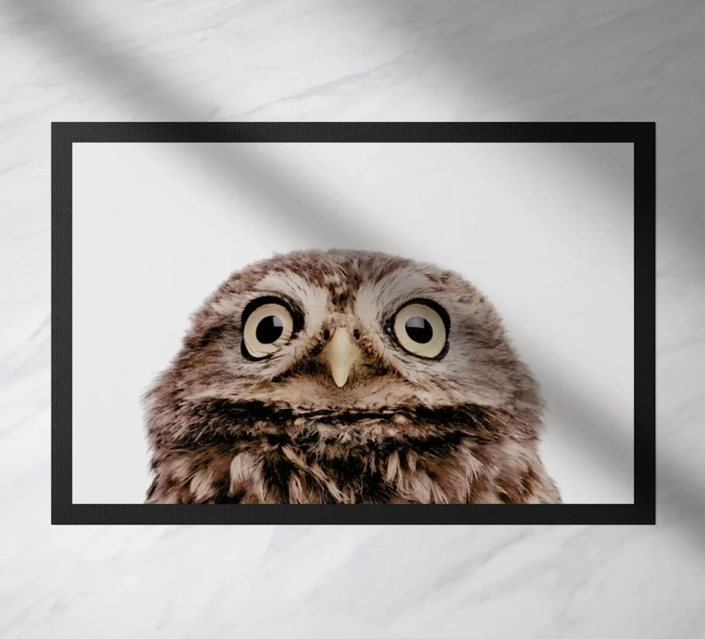 Owl doormat by Paws & Claws