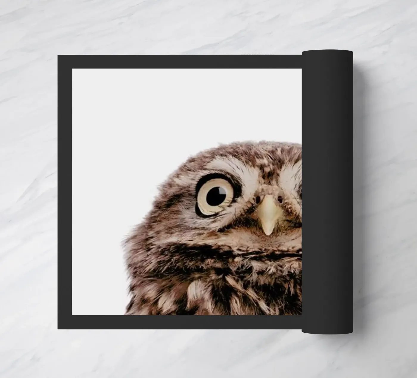 Owl doormat by Paws & Claws