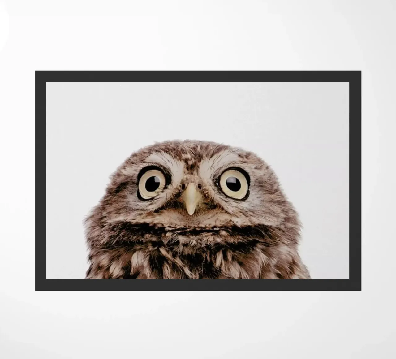 Owl zerbino da Paws & Claws