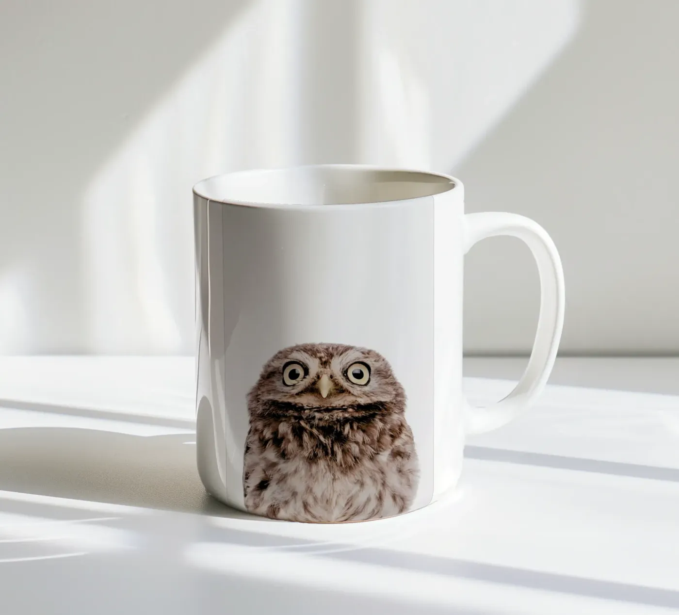 Owl ceramic mug by Paws & Claws