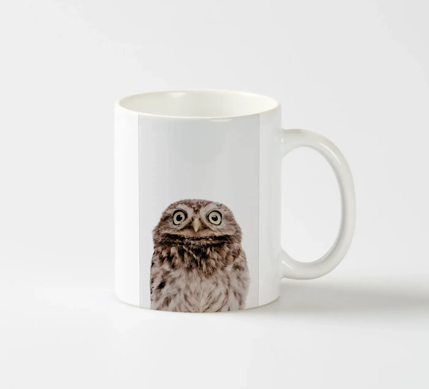 Owl ceramic mug by Paws & Claws