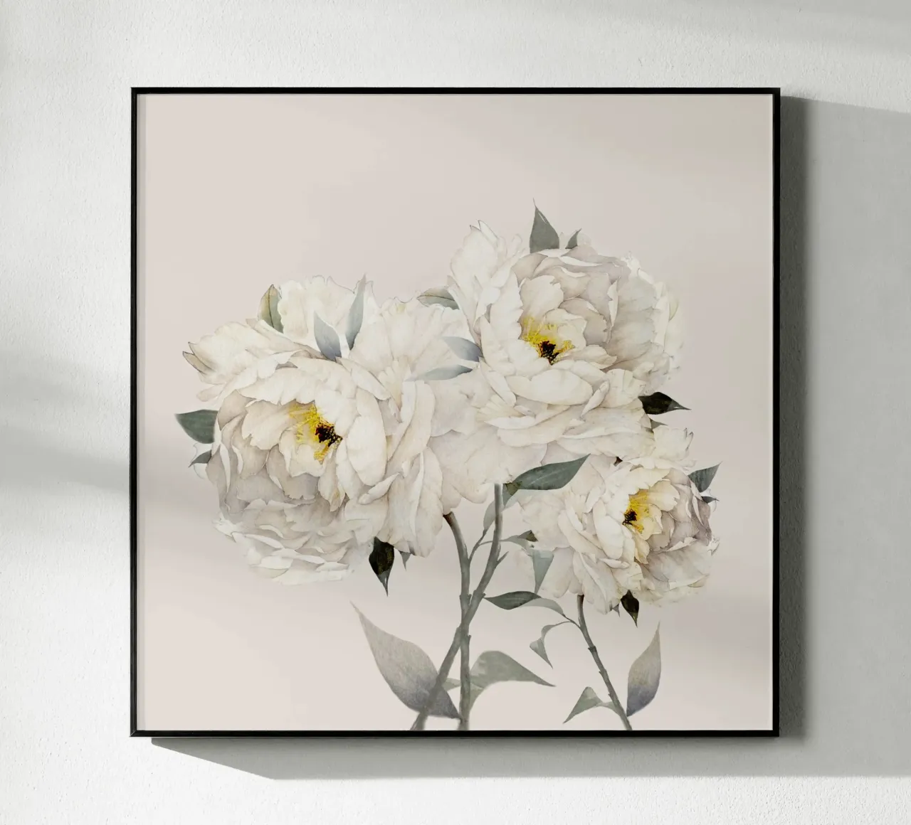 White Peonies plexiglass da Nadjaa