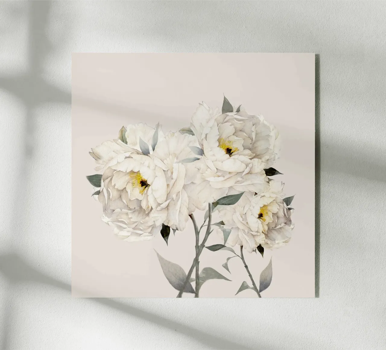 White Peonies plexiglass da Nadjaa