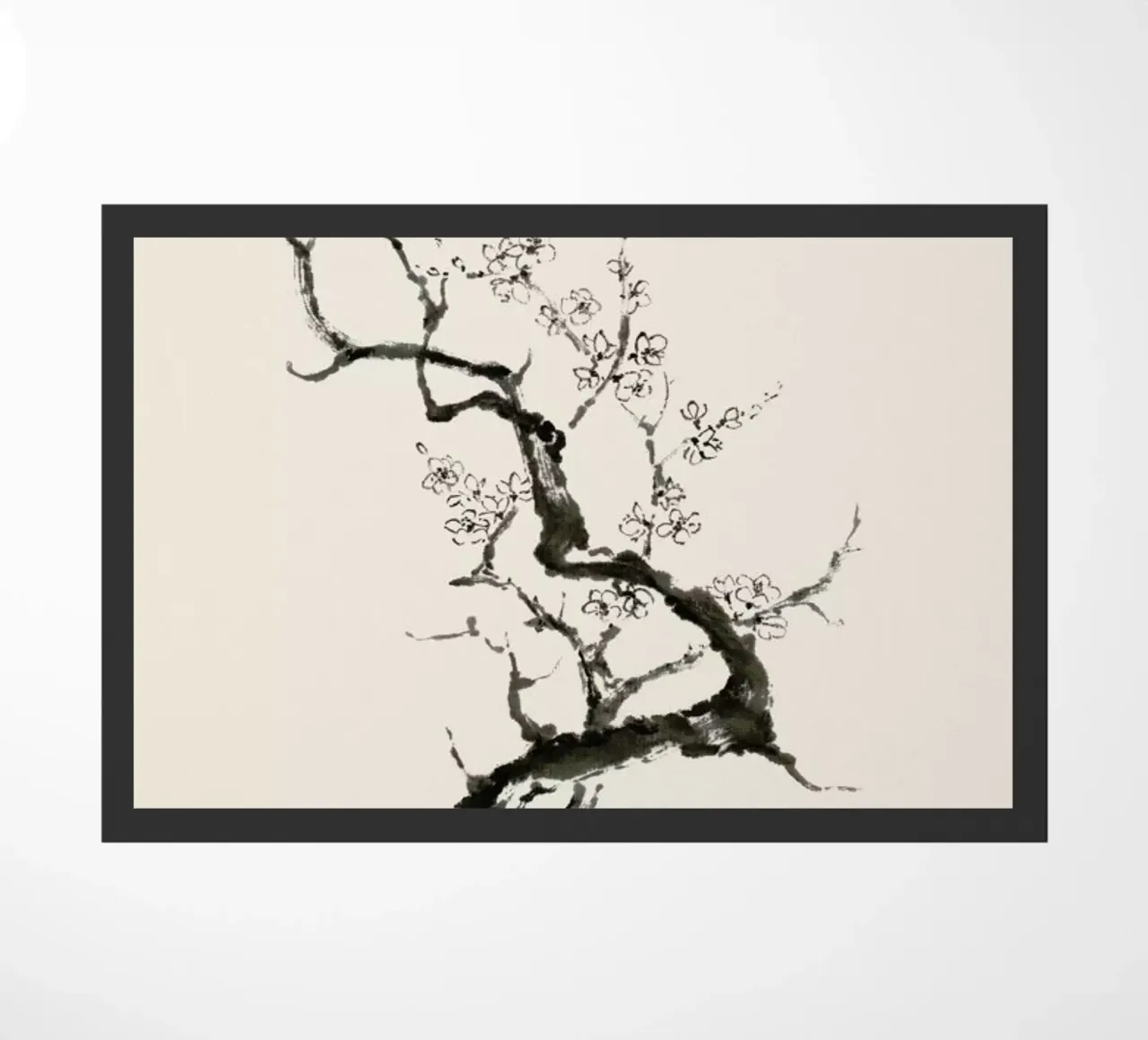 Sakura zerbino da Flora & Fauna