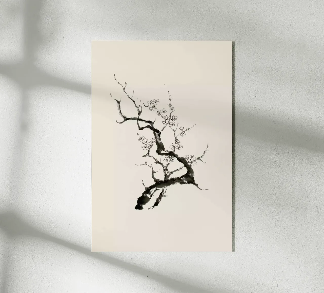 Sakura plexiglass da Flora & Fauna