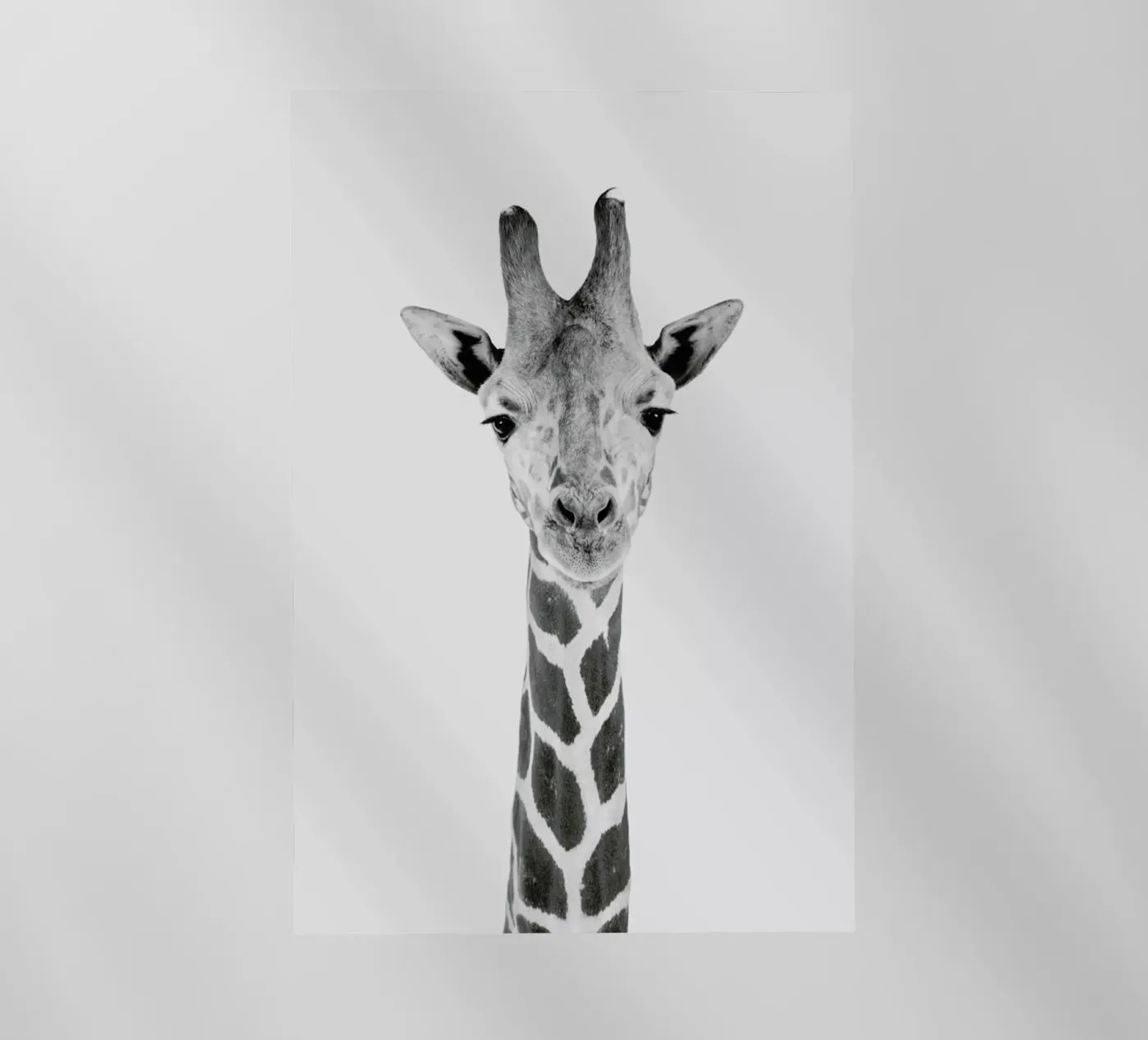 Giraffe Classic pellicola backlit da Paws & Claws