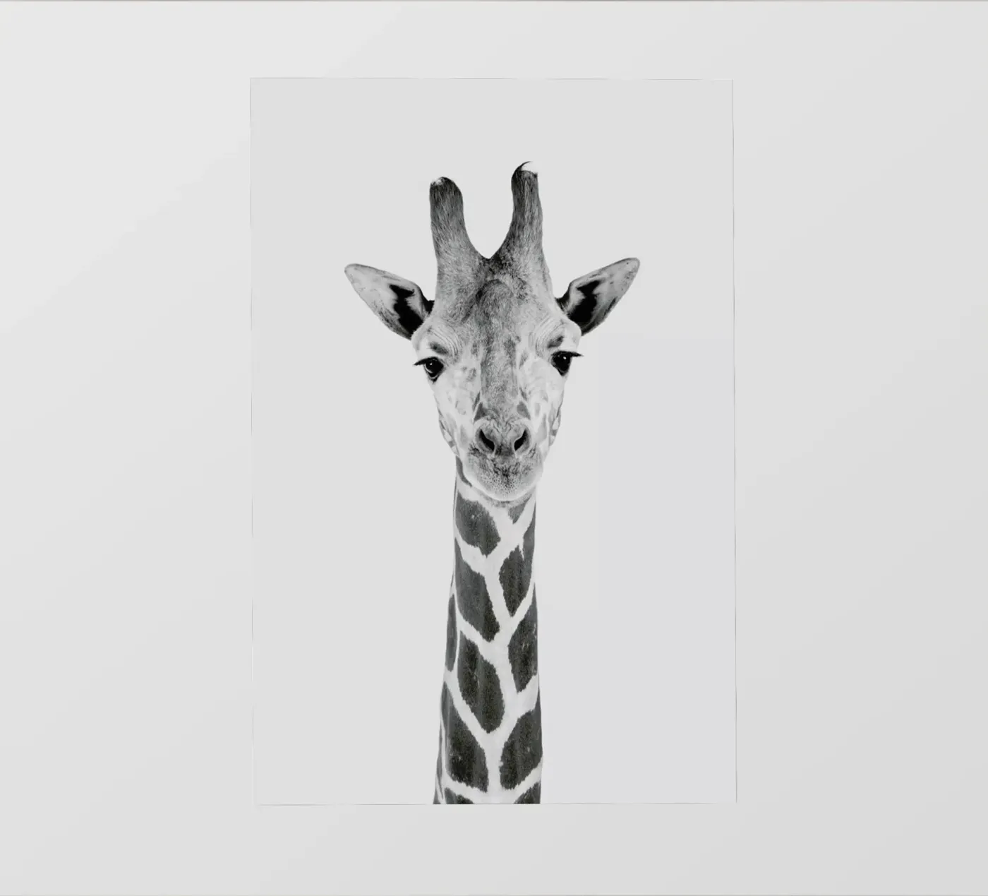 Giraffe Classic pellicola backlit da Paws & Claws