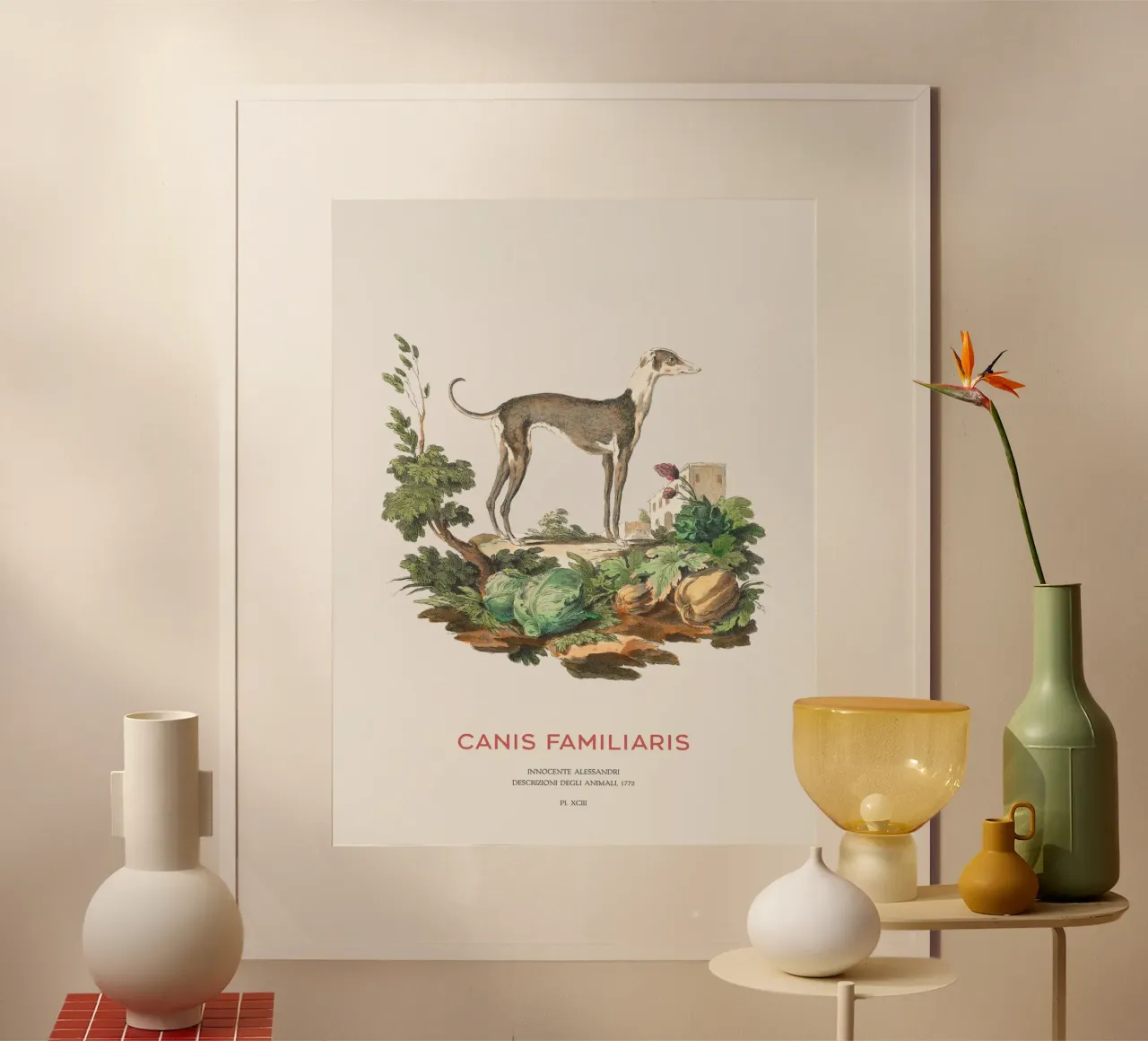 Levriero italiano - Incisione antica di un segugio poster con telaio in legno da Vintagrafica