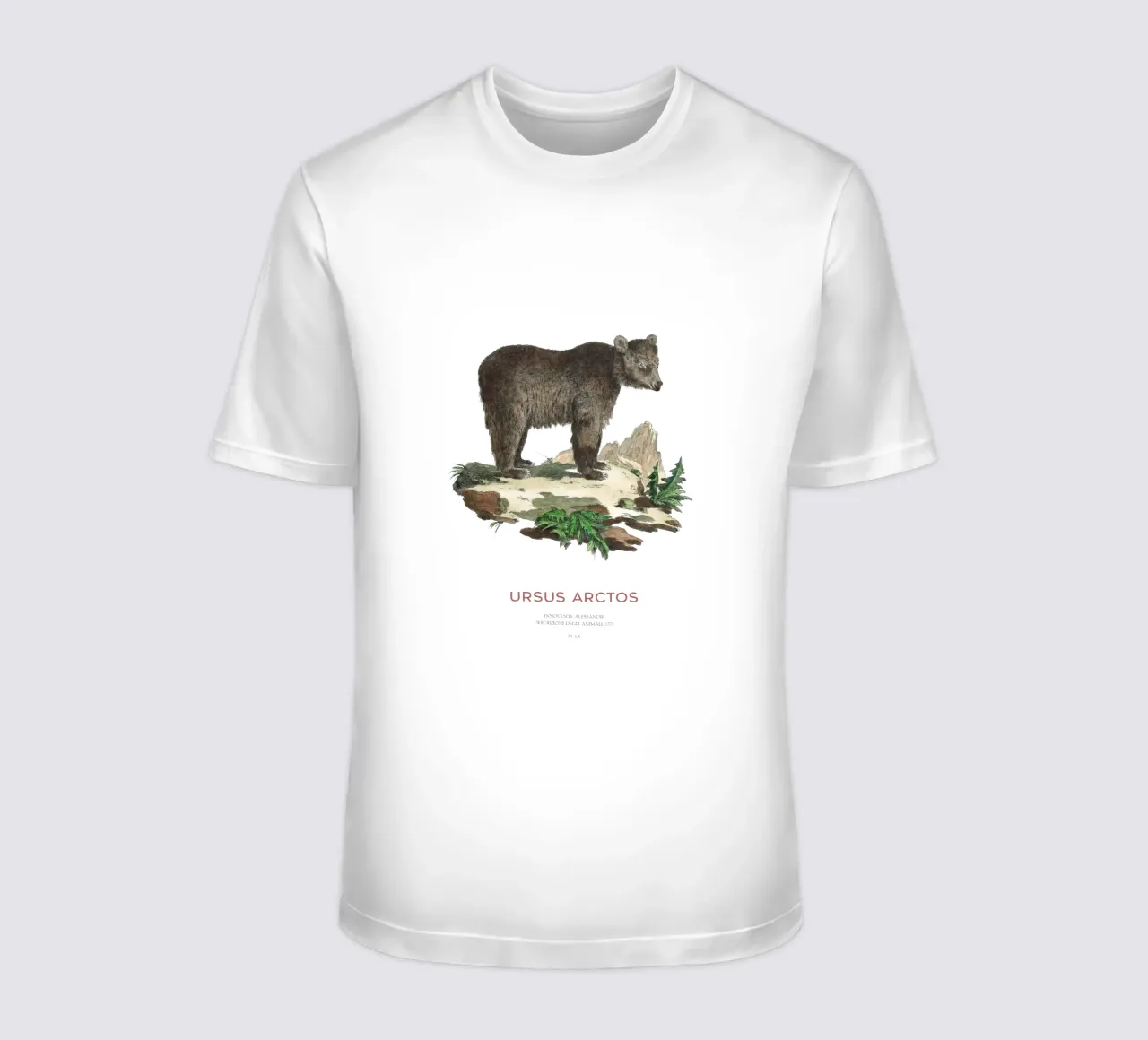 Dessin ancien d'un ours brun t-shirt de Vintagrafica