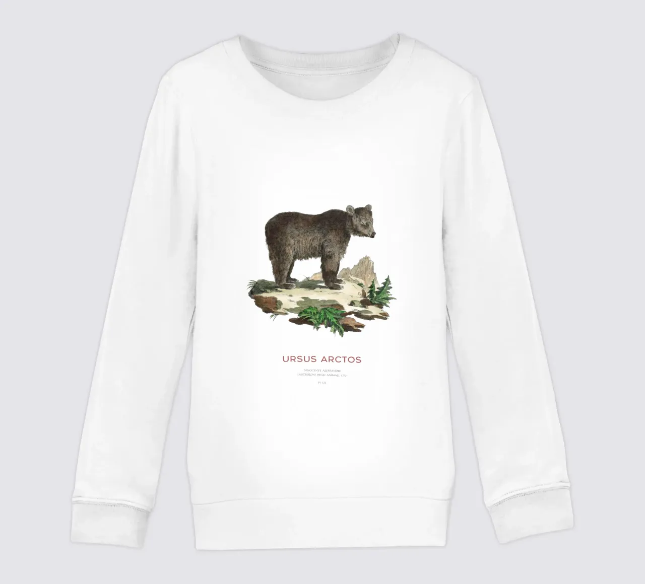 Dessin ancien d'un ours brun sweat enfant de Vintagrafica