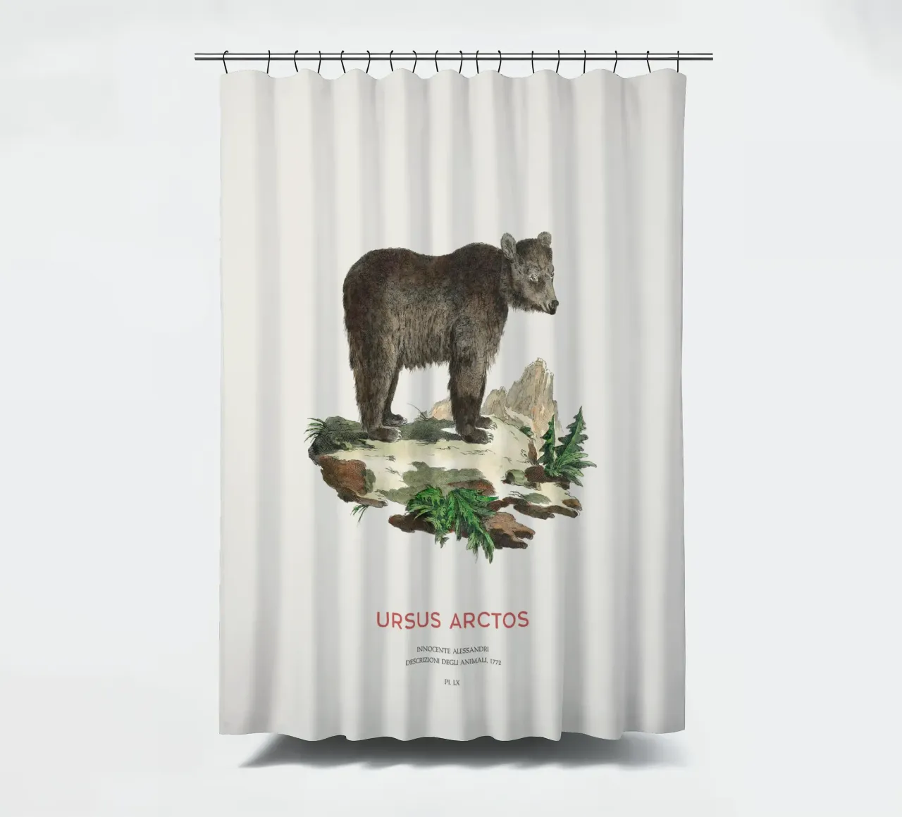 Antico disegno di orso bruno tenda da doccia da Vintagrafica