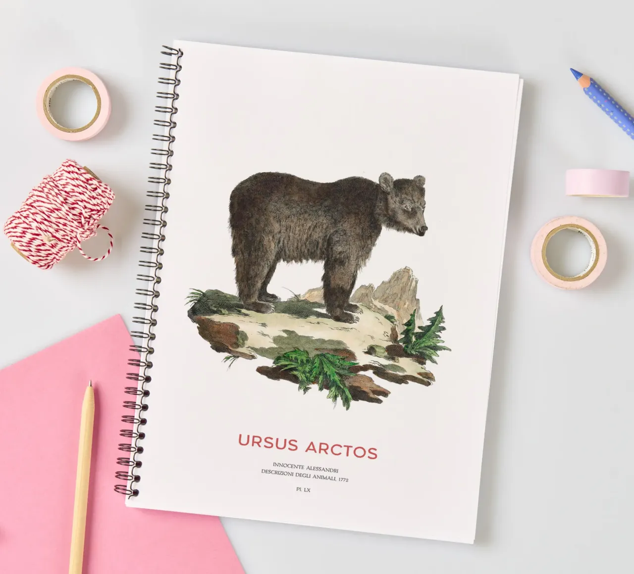 Dessin ancien d'un ours brun carnet à spirale de Vintagrafica