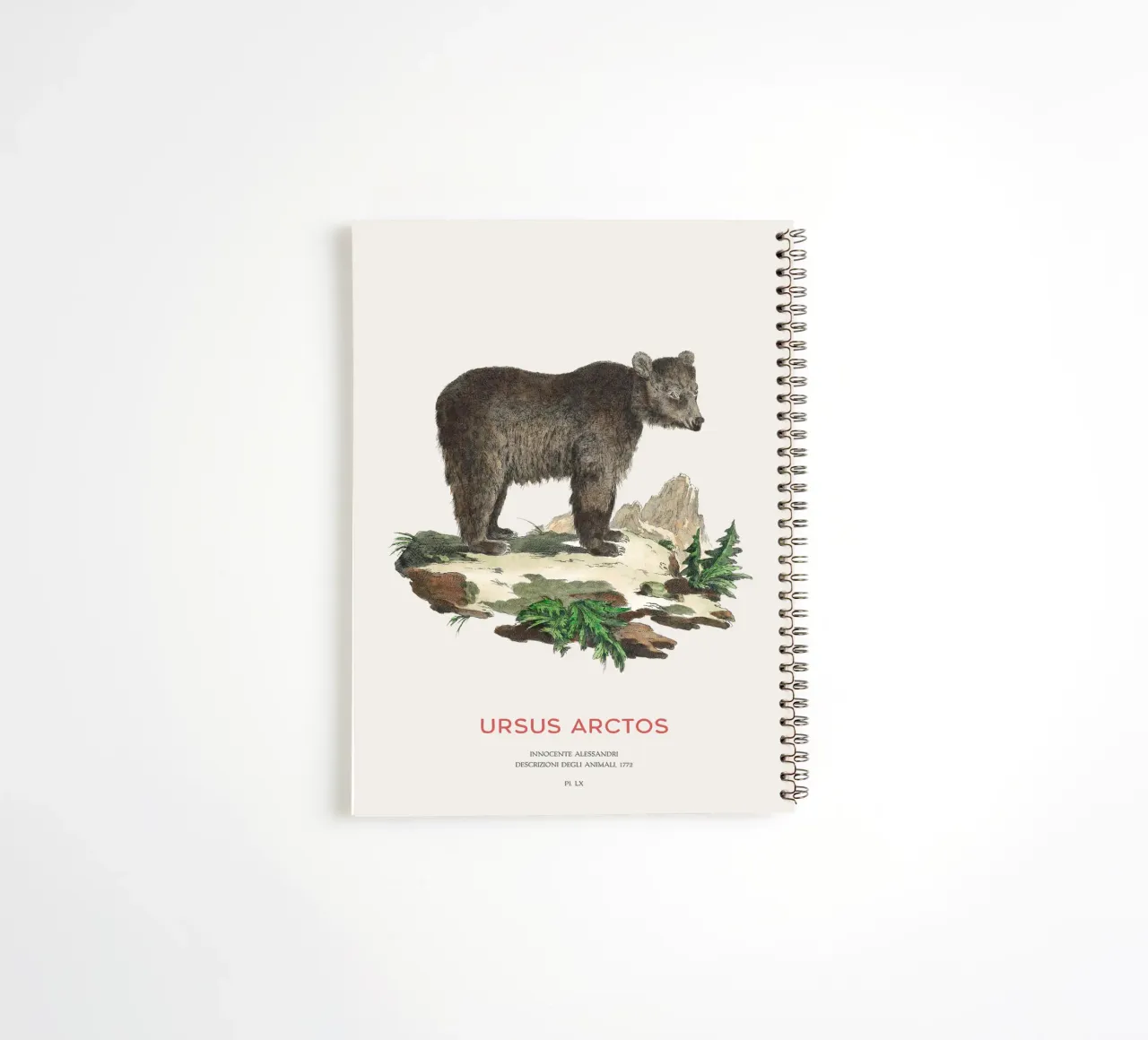 Dessin ancien d'un ours brun carnet à spirale de Vintagrafica