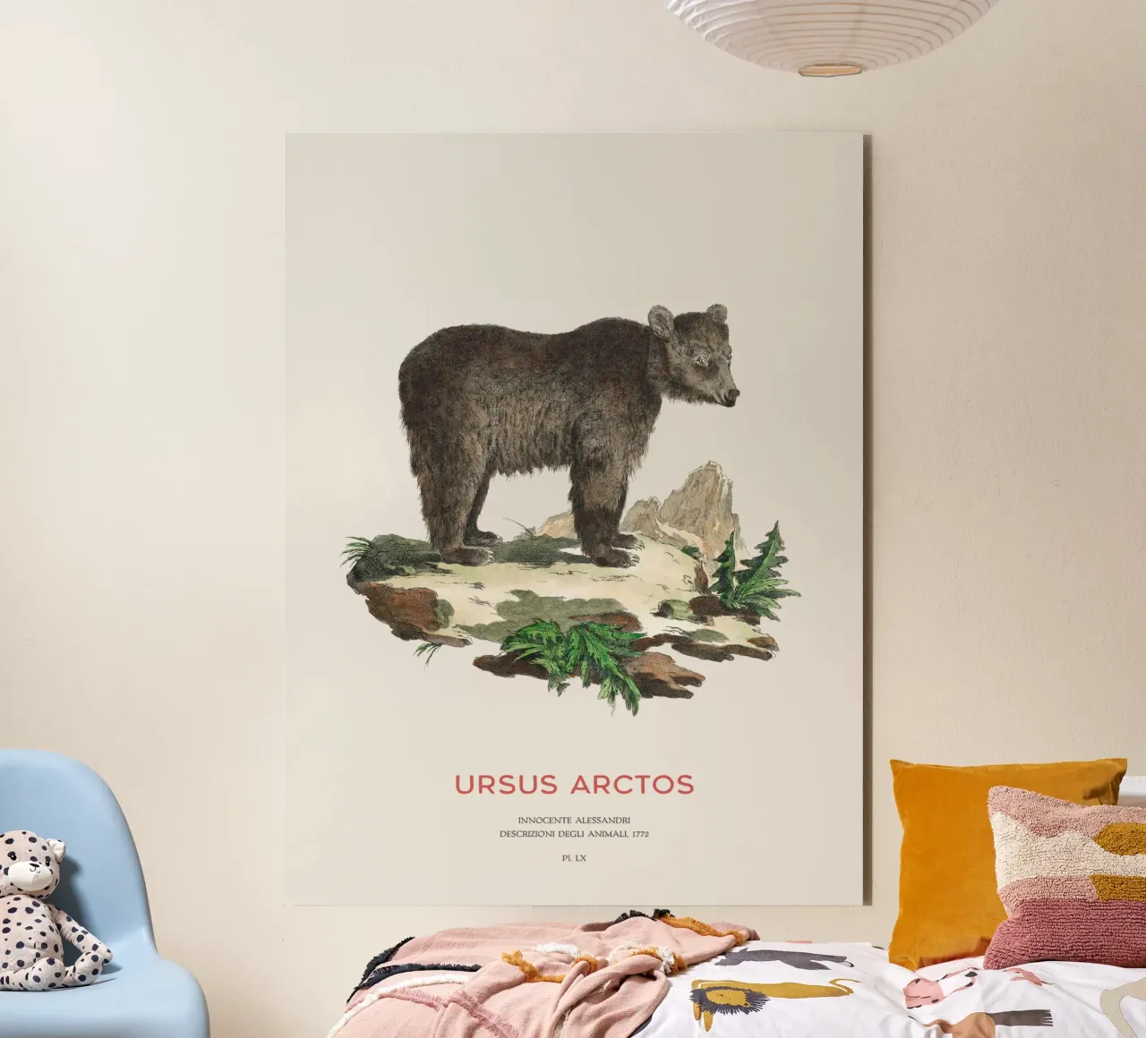 Antico disegno di orso bruno alluminio dibond da Vintagrafica