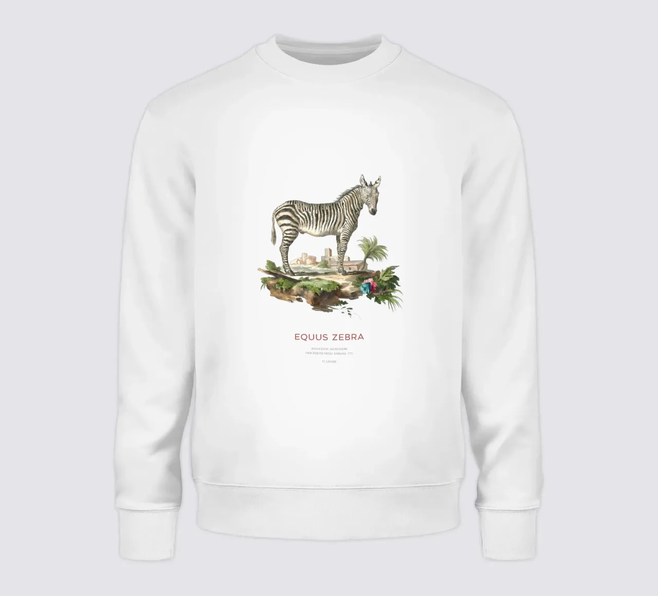 Incisione retro Mountain Zebra felpa da Vintagrafica