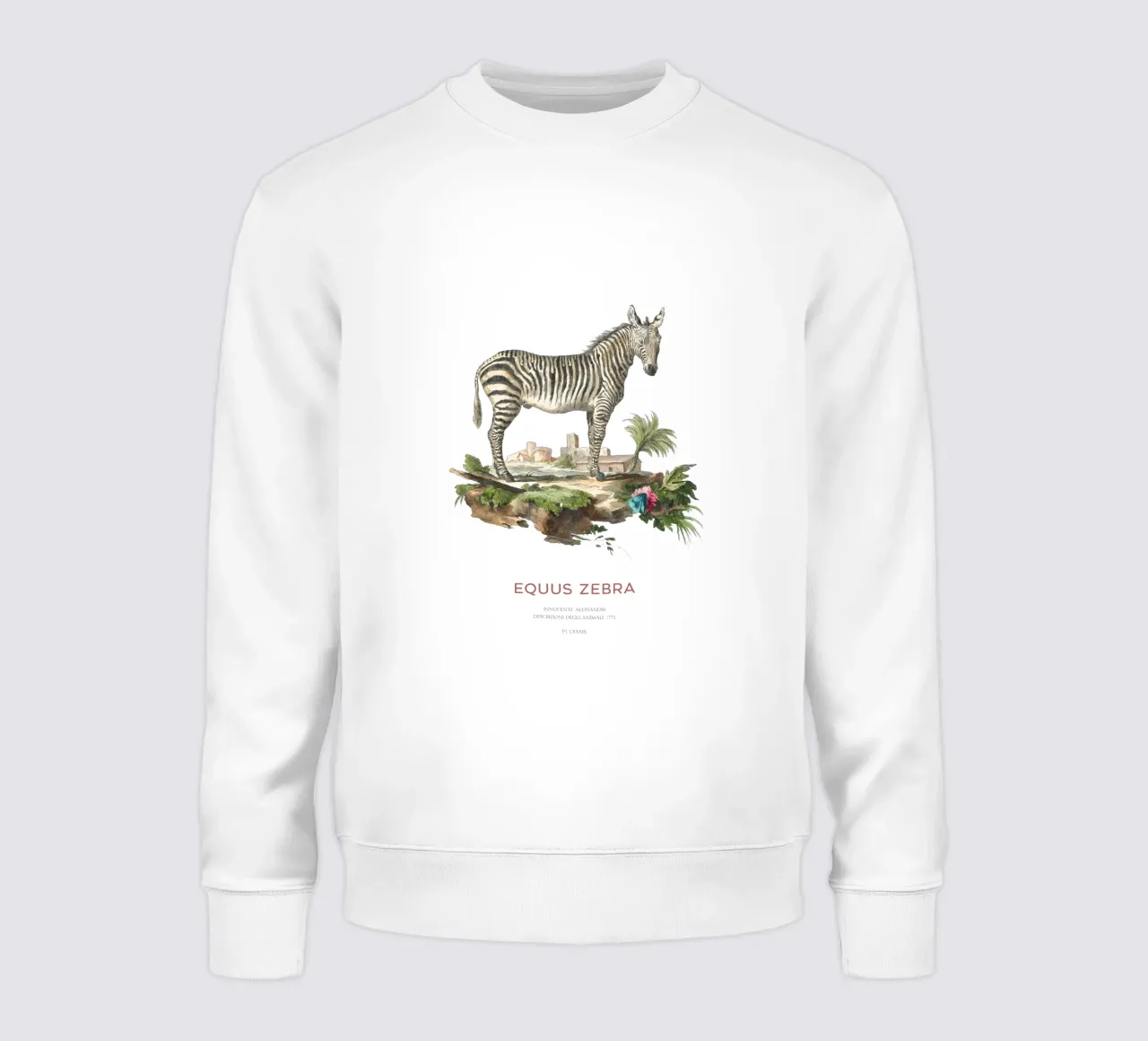 Incisione retro Mountain Zebra felpa da Vintagrafica