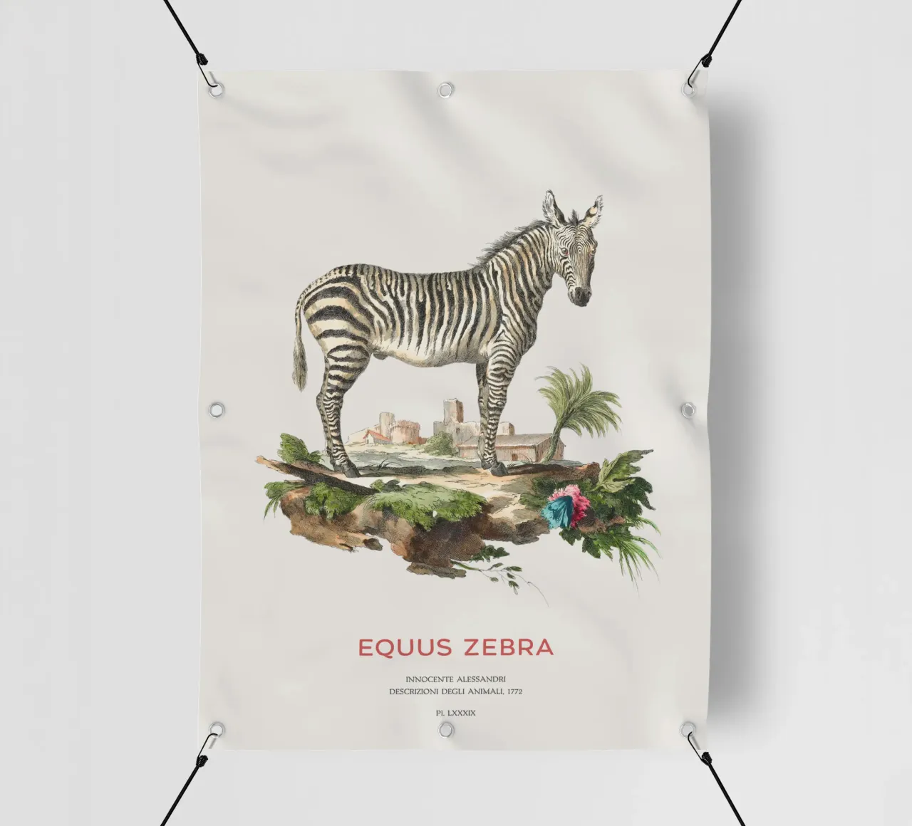 Incisione retro Mountain Zebra telo in pvc da Vintagrafica