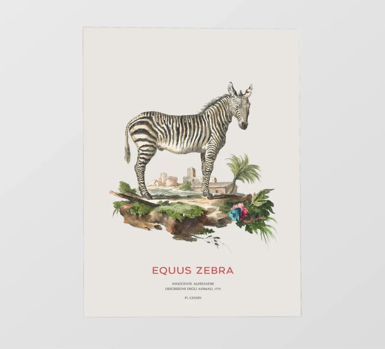 Incisione retro Mountain Zebra telo in pvc da Vintagrafica