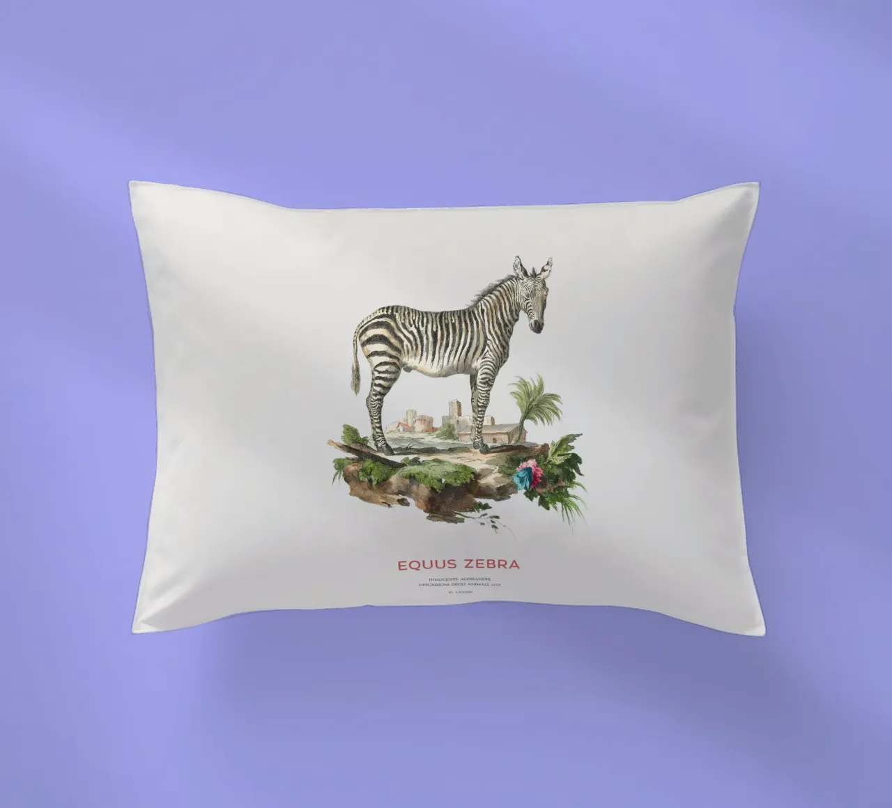 Incisione retro Mountain Zebra cuscino da Vintagrafica