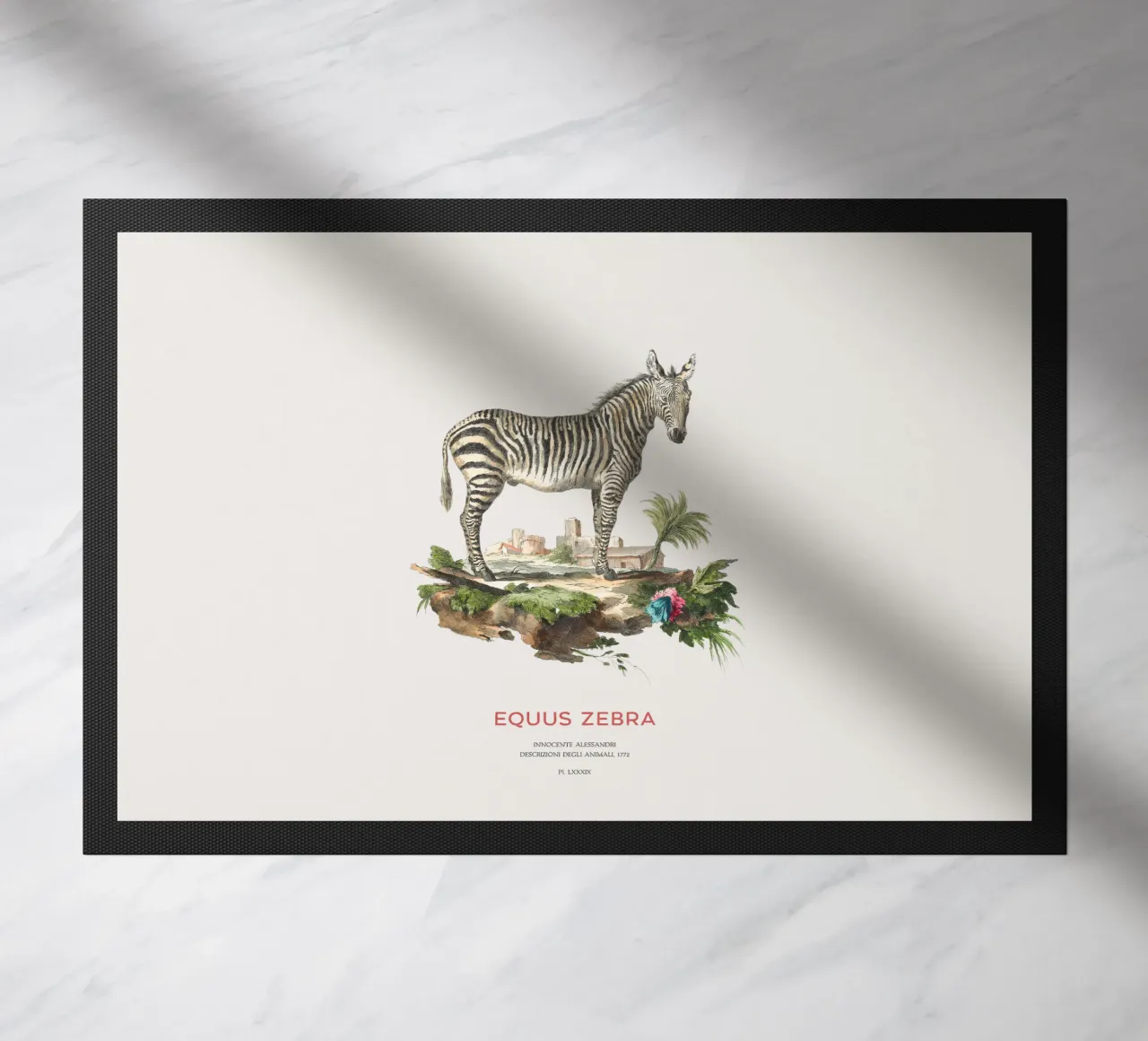 Incisione retro Mountain Zebra zerbino da Vintagrafica