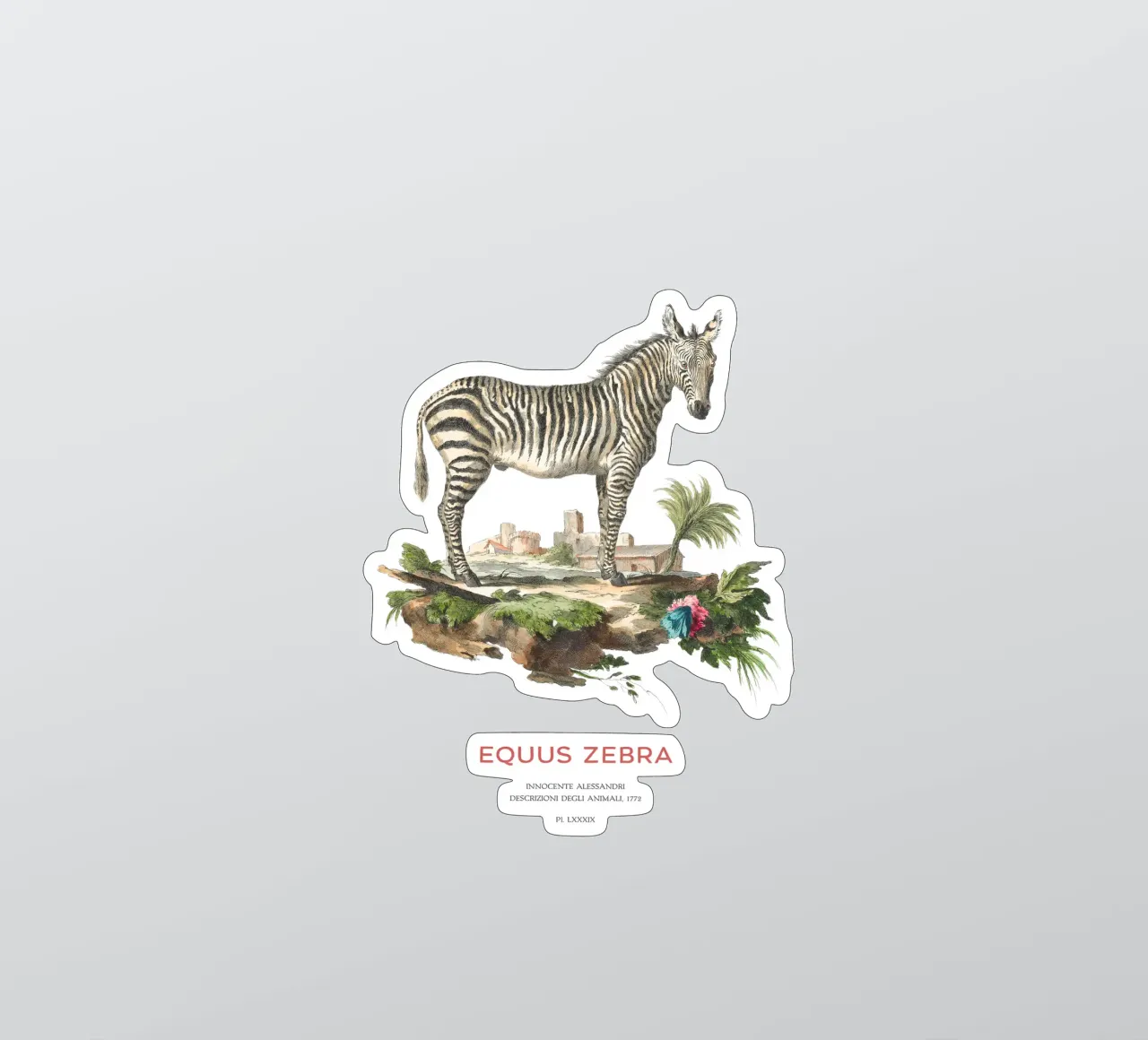 Incisione retro Mountain Zebra adesivo da Vintagrafica