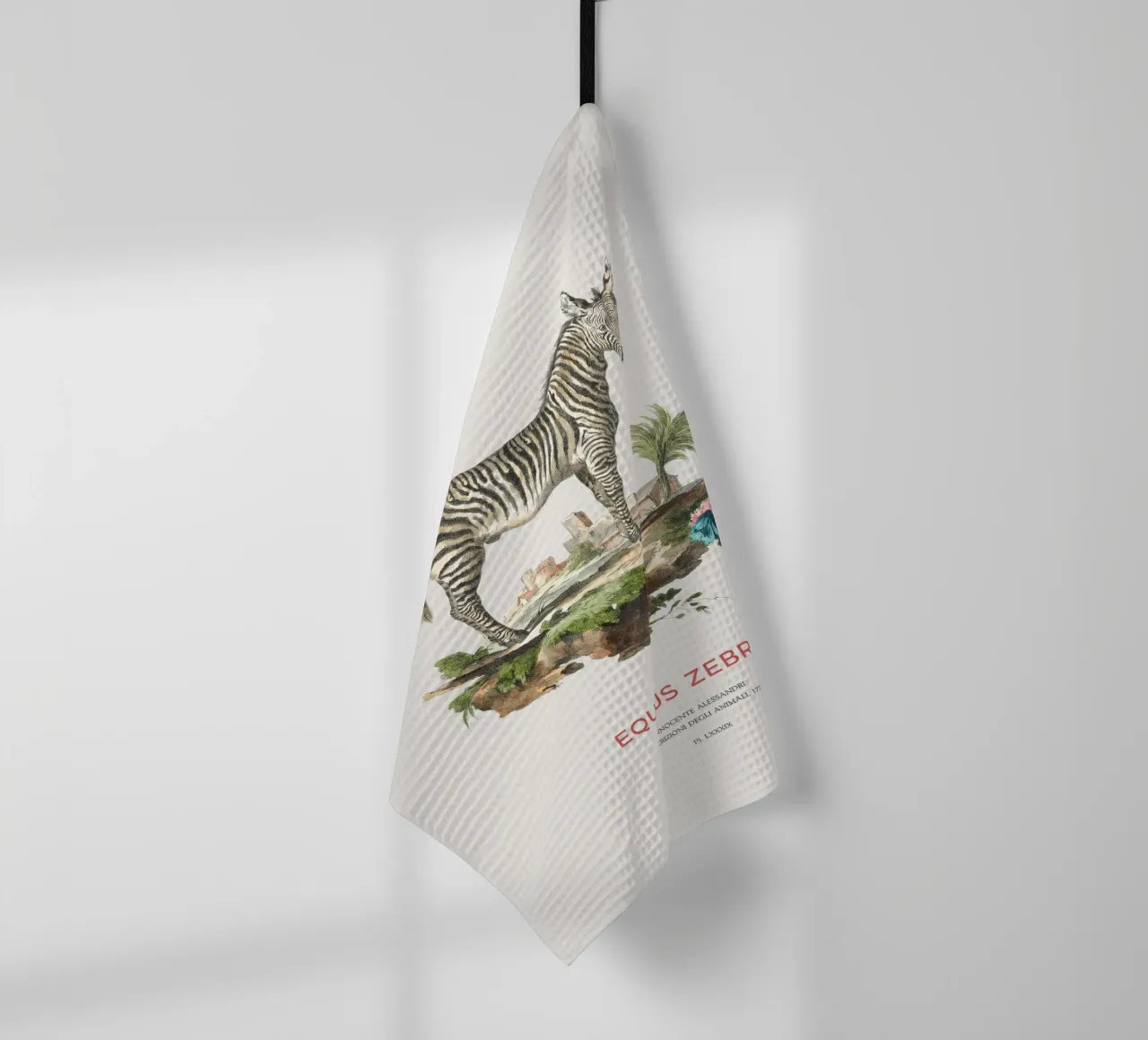 Incisione retro Mountain Zebra canovaccio da cucina da Vintagrafica